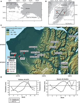 An Assessment of Plant Species Differences on Cellulose Oxygen Isotopes From Two Kenai Peninsula, Alaska Peatlands: Implications for Hydroclimatic Reconstructions